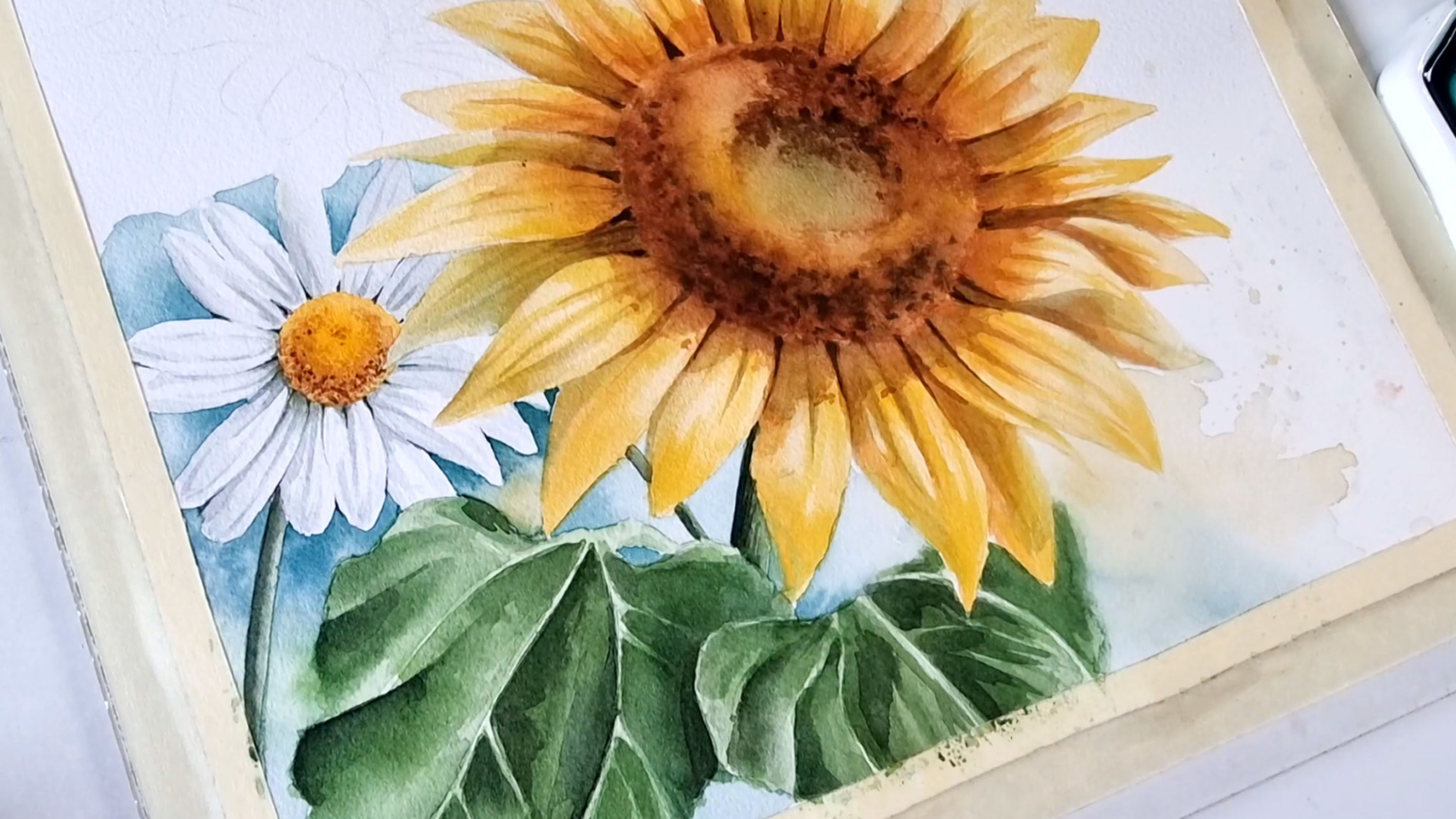 Sunflowers